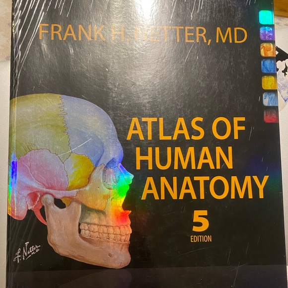 Other | Atlas Of Human Anatomy 5th Edition By Frank H Netter Md | Poshmark